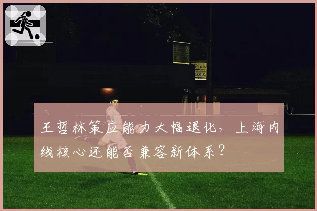王哲林策应能力大幅退化，上海内线核心还能否兼容新体系？